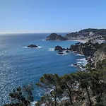 Pau Picasso 2 - Estudio Con Terraza En Tossa アパート