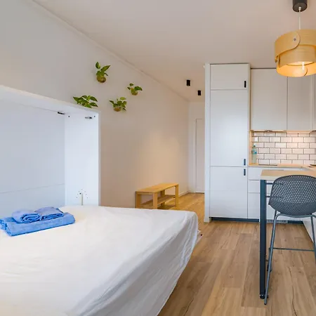 Pau Picasso 2 - Estudio Con Terraza En Tossa * 또사데마르