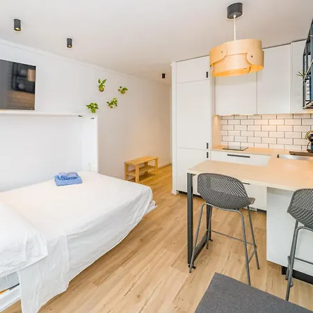 Pau Picasso 2 - Estudio Con Terraza En Tossa