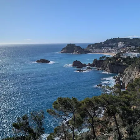 Pau Picasso 2 - Estudio Con Terraza En Tossa 아파트